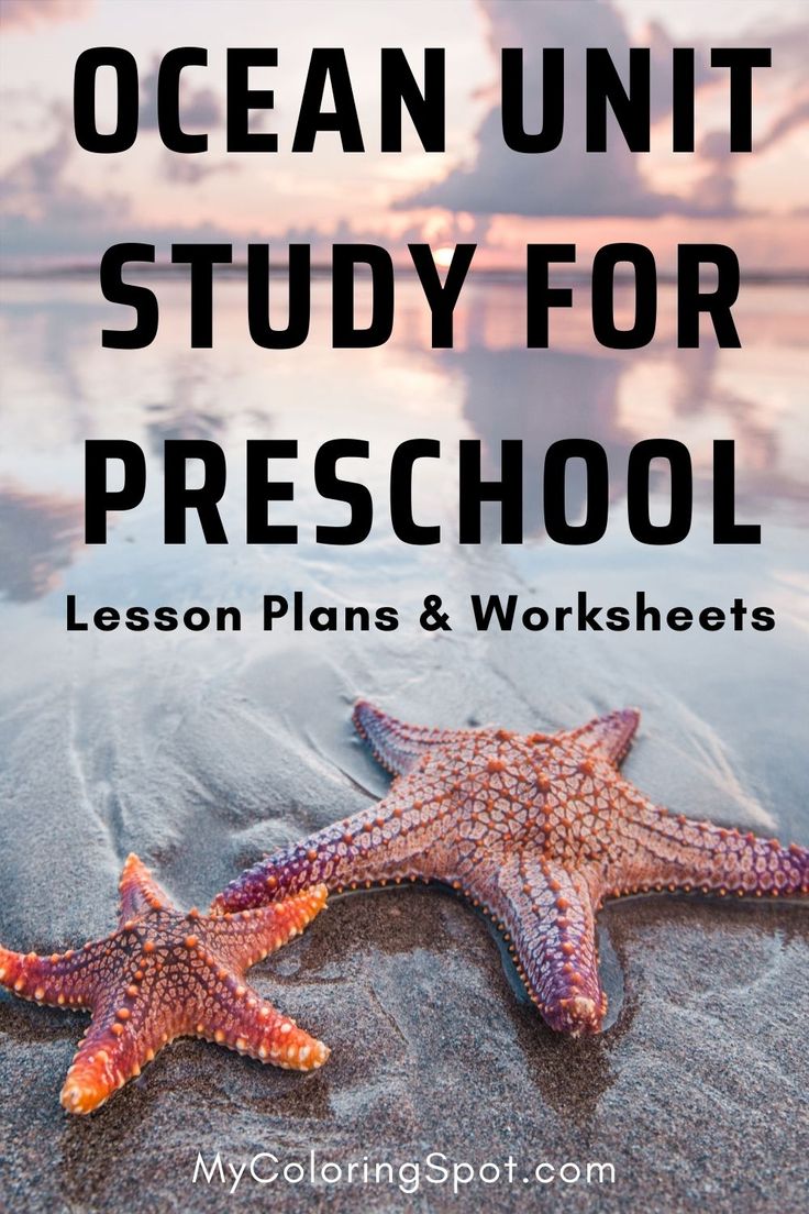 Planning sea week activities for toddlers can be overwhelmin