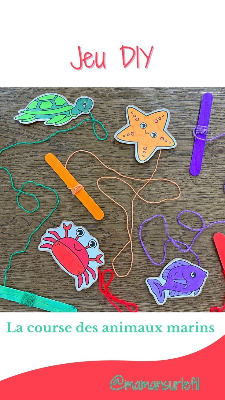 Fabriquer un jeu DIY : la course des animaux marins : une ac