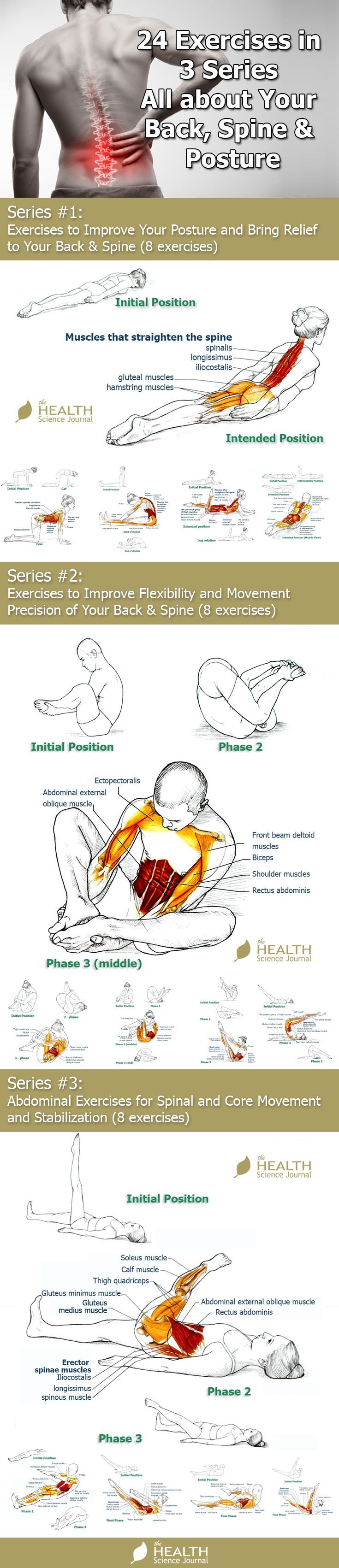 24 Exercises in 3 Series – All about Your Back, Spine & Post