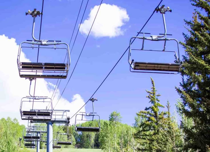 There are family trips where you spend months carefully plan