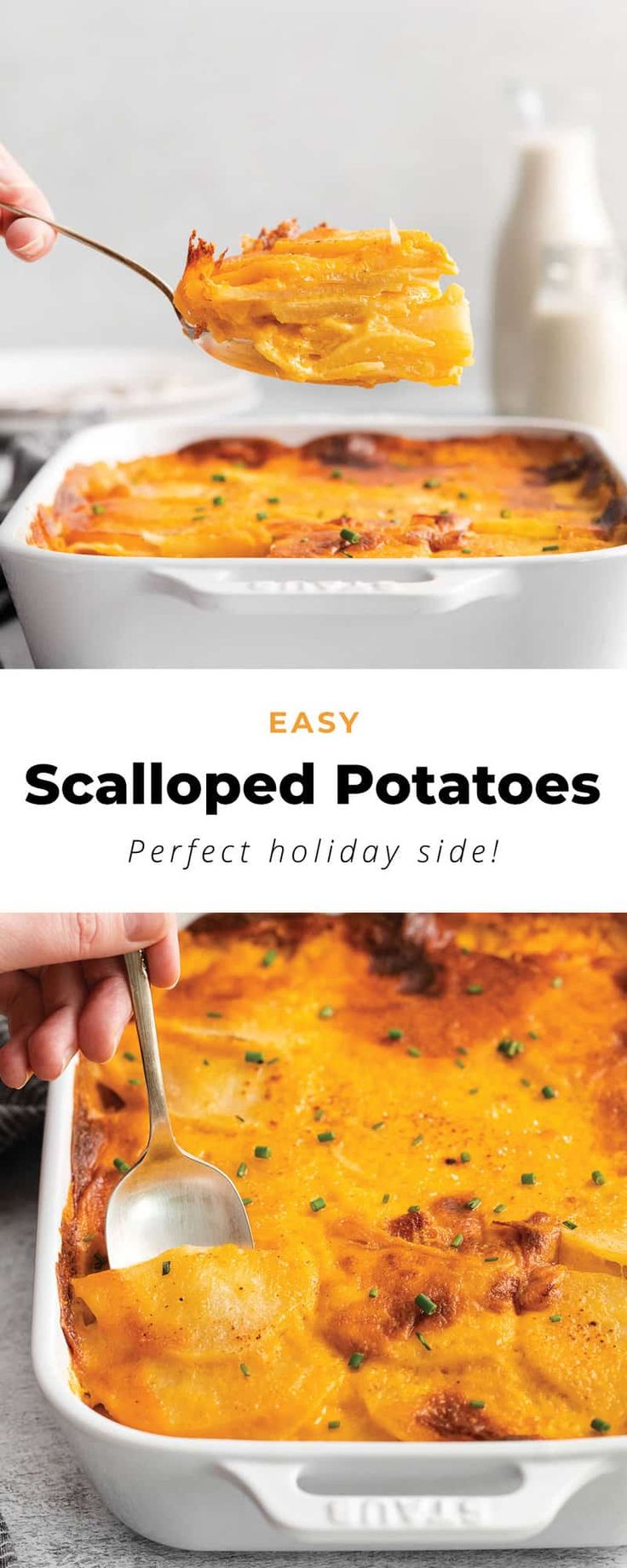 These scalloped potatoes are the best cheesy side dish for t