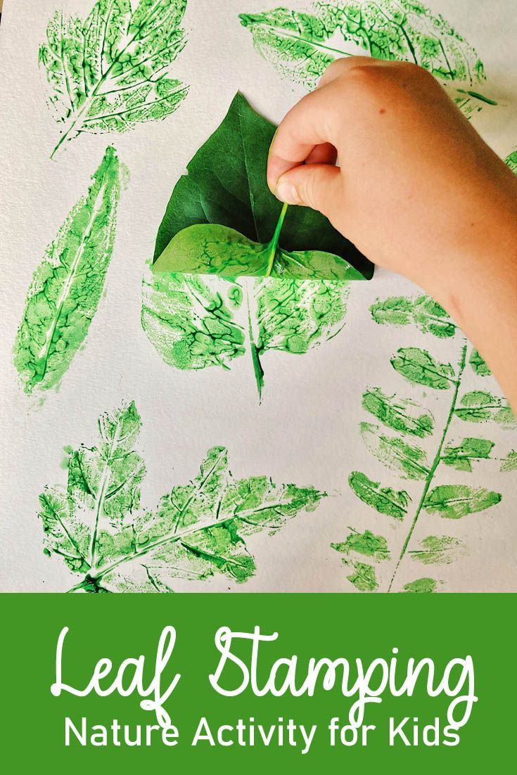 A fun and simple science activity for kids