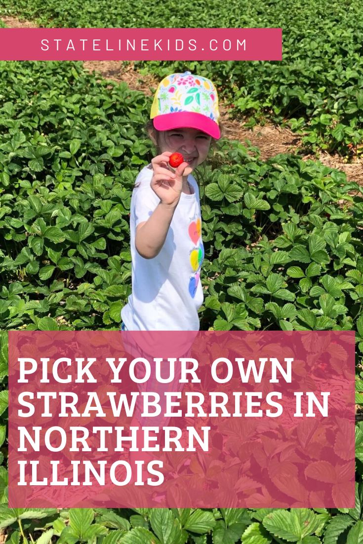We’re lucky to have several great berry picking farms in the