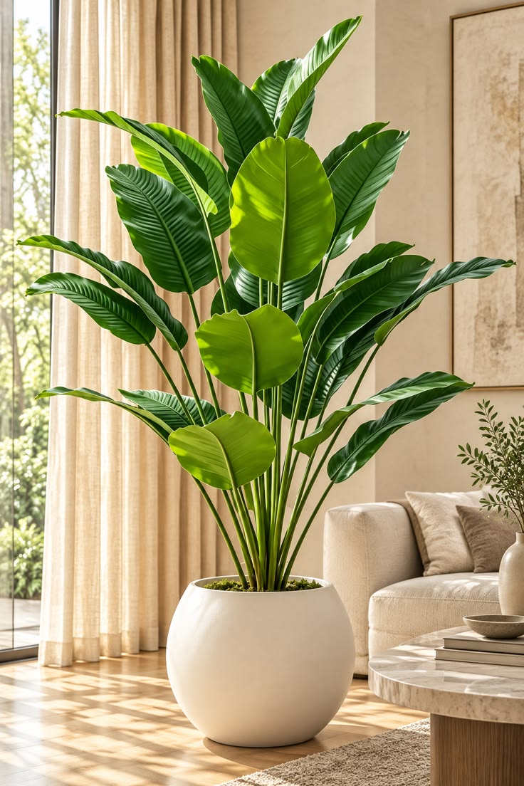 Bring a fresh, elegant feel to your living room with lush tr