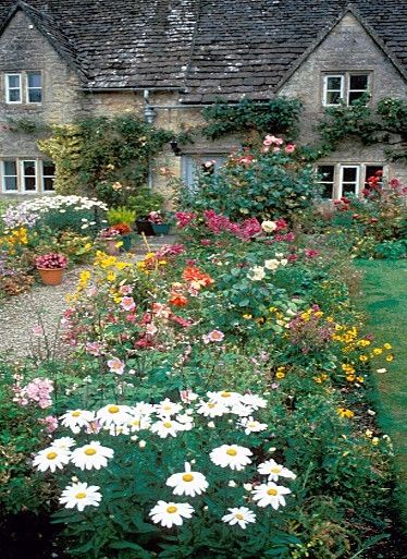English garden loveliness. There must be some way to get the