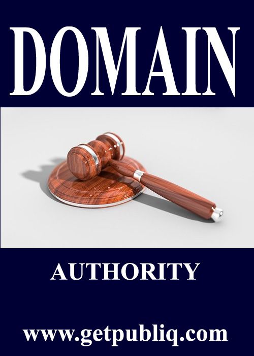 UNDERSTANDING DOMAIN AUTHORITY - getpubliq.com