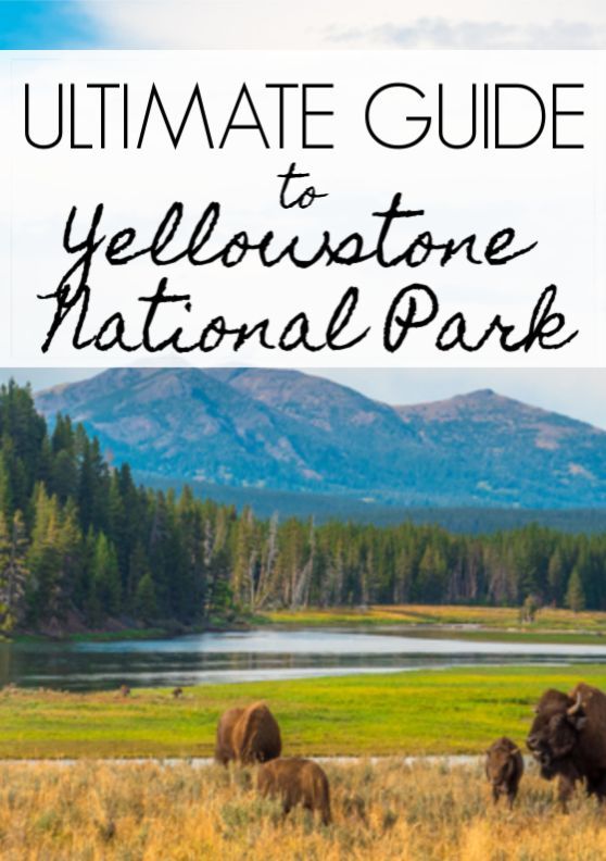 Planning a trip to Yellowstone National Park soon? Here's ev