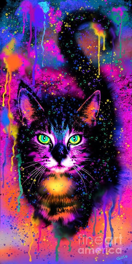 Cat Digital Art - Rainbow Painted Tabby Cat by Nick Gustafso