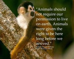 Conservation is the key to our survival