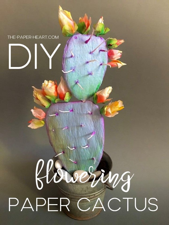 I am a cactus lover. So, to create a crepe paper cactus, esp