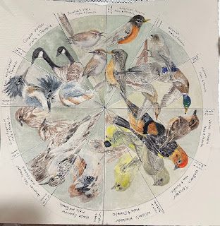 The Phenology Wheel: A fun project for the New Year!