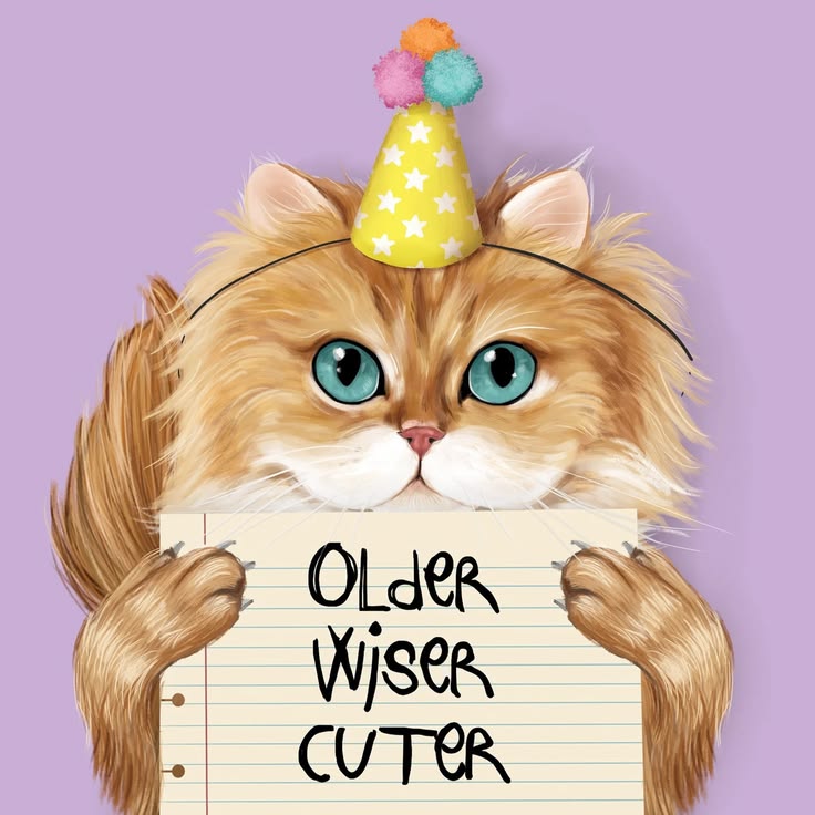 Calling all crazy cat ladies 🐱 Here are a few of our favouri