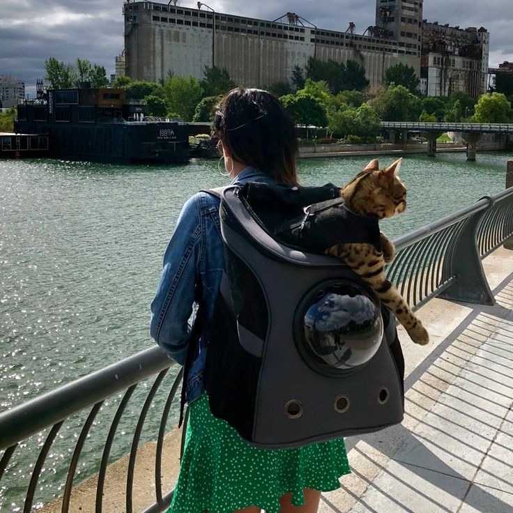 This breathable cat backpack is the perfect carrier bag to b
