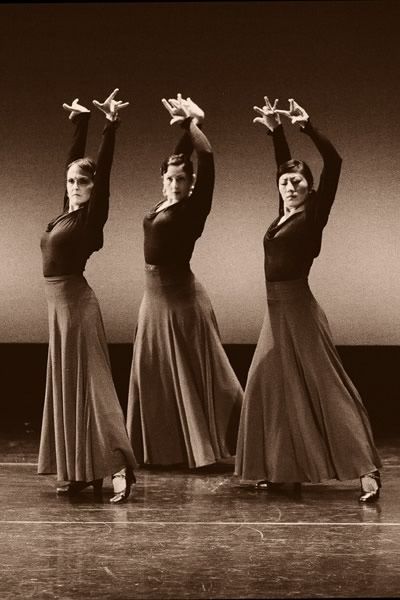 flamenco