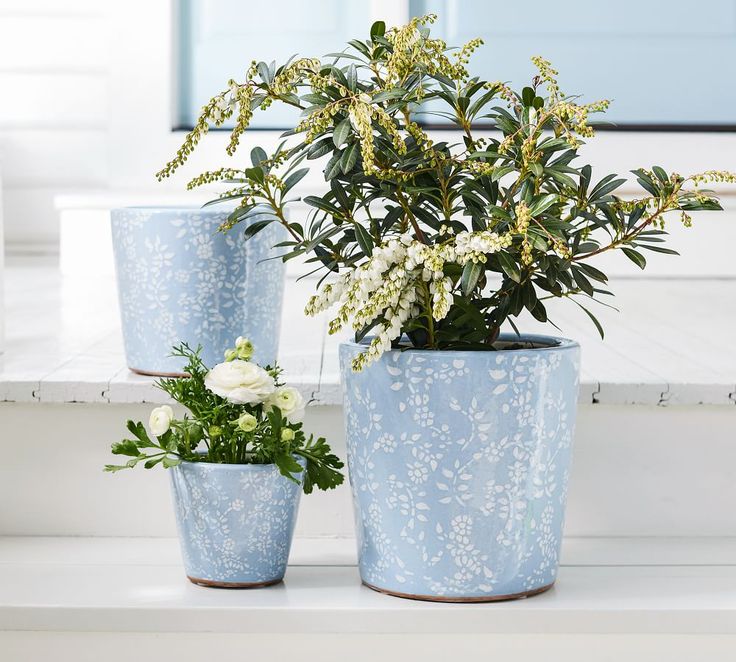 Julia Berolzheimer Flora Handcrafted Terracotta Planters | P