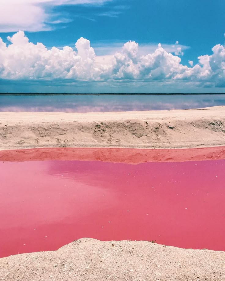 Here are some photos of a pink lagoon found at the Ría Lagar