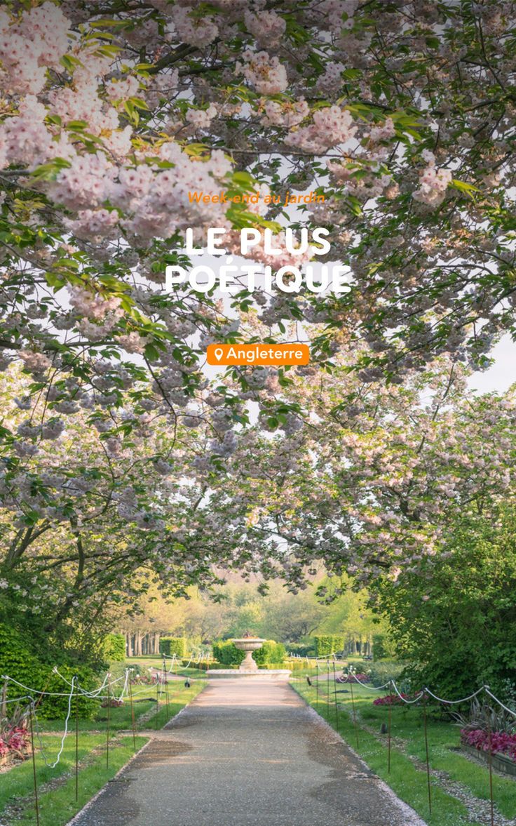 Découvrez Regent's Park, un jardin enchanteur au cœur de Lon