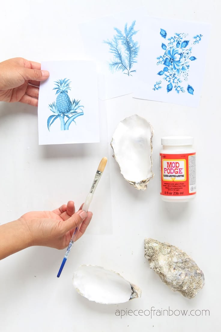 Beautiful DIY Anthropologie style oyster shell trinket dish,