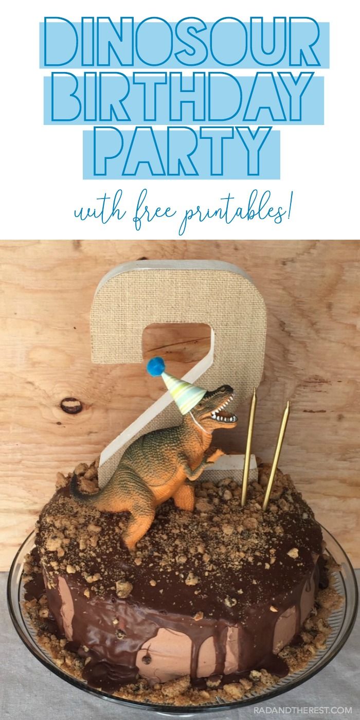 Dinosaur Birthday Party with free excavation kit printables!
