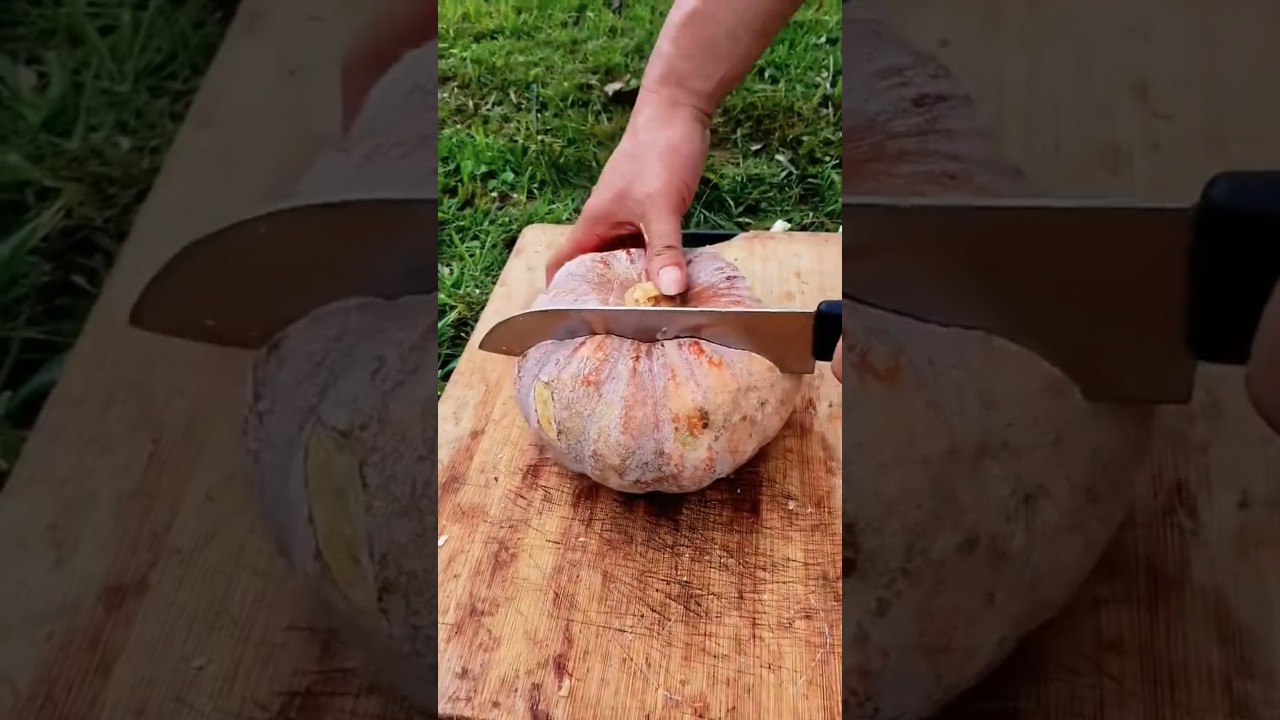 MEGA PUMPKIN sliced open perfectly! 🎃😲🔪#shorts  #farming #plants #garden #wow #amazing #viral