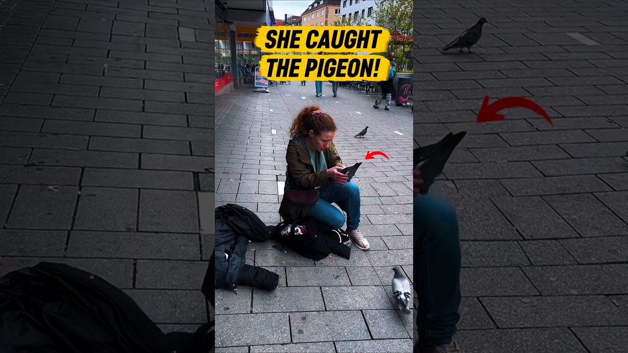 People Thought She Hurt Birds But The Truth Was Amazing!