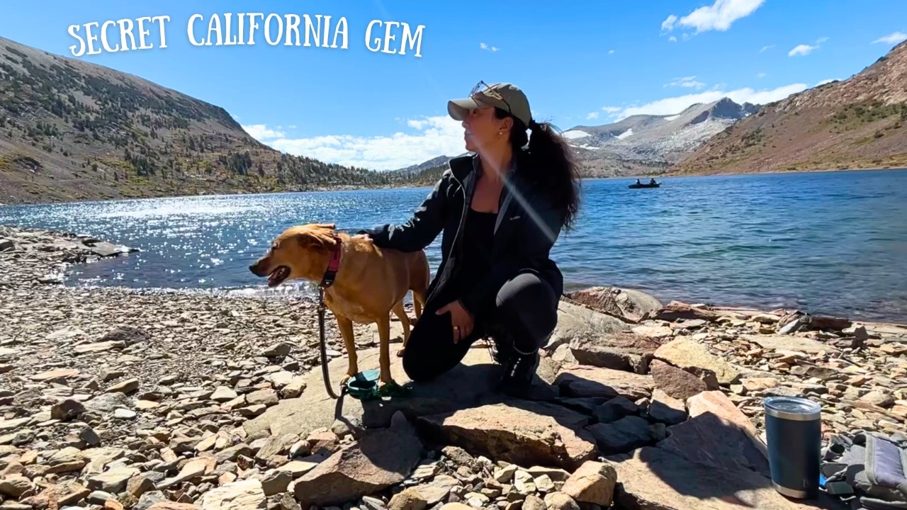 Stealth Van Camping at a California Hidden Gem with My Dog