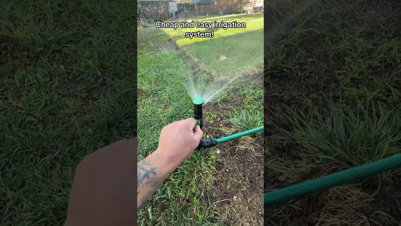#lawn #bigdreamstartsmall #tiktokshopmemorialday #tiktokshopcreatorpicks #tiktokshopstockup
