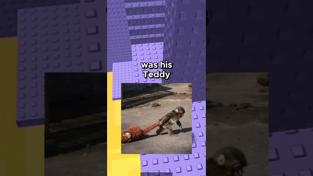 New Lonely Animal of this year 😭🙏 #roblox #rblx #robloxrant #relatable