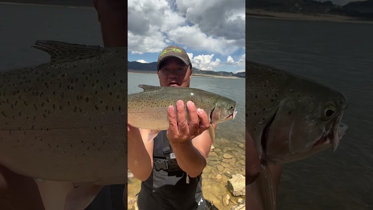 For The Next Trick: I Am Going To Turn This Fish Into A Delicious Meal: Baked Trout: #fishing #fun