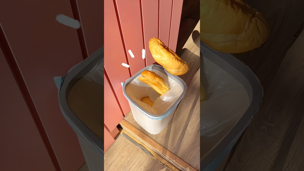 +100 khách iu từ youtube mà đến ❤️ mái iu #banhmi #food #khởinghiệp #foodreview #viral