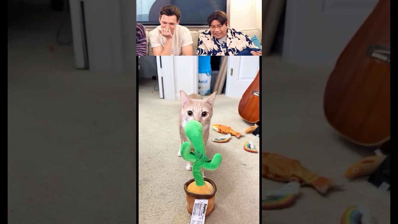 Tom Holland React Viral Videos Part 103 #tomholland #funny #trytolaugh #reaction