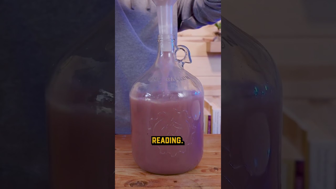 Pop Tart Mead