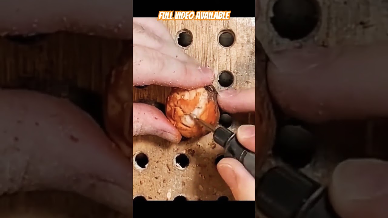 Power Carving Avocado Seed