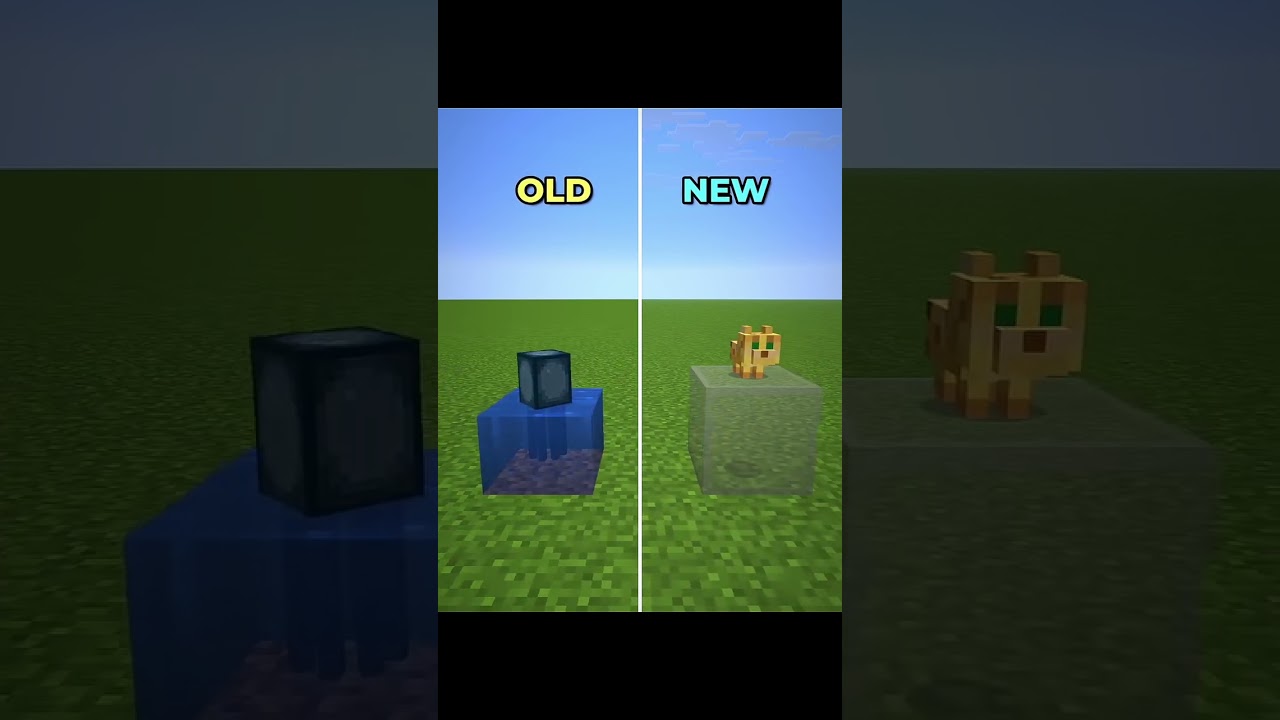 OLD VS NEW IN MINECRAFT #shorts #minecraft