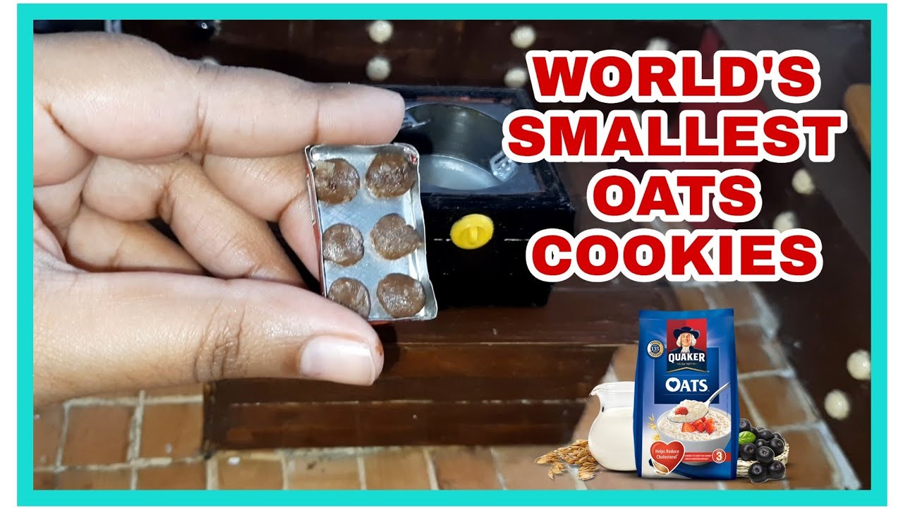 World's smallest Oats Cookies | miniature cooking | mini food | tiny chef channel