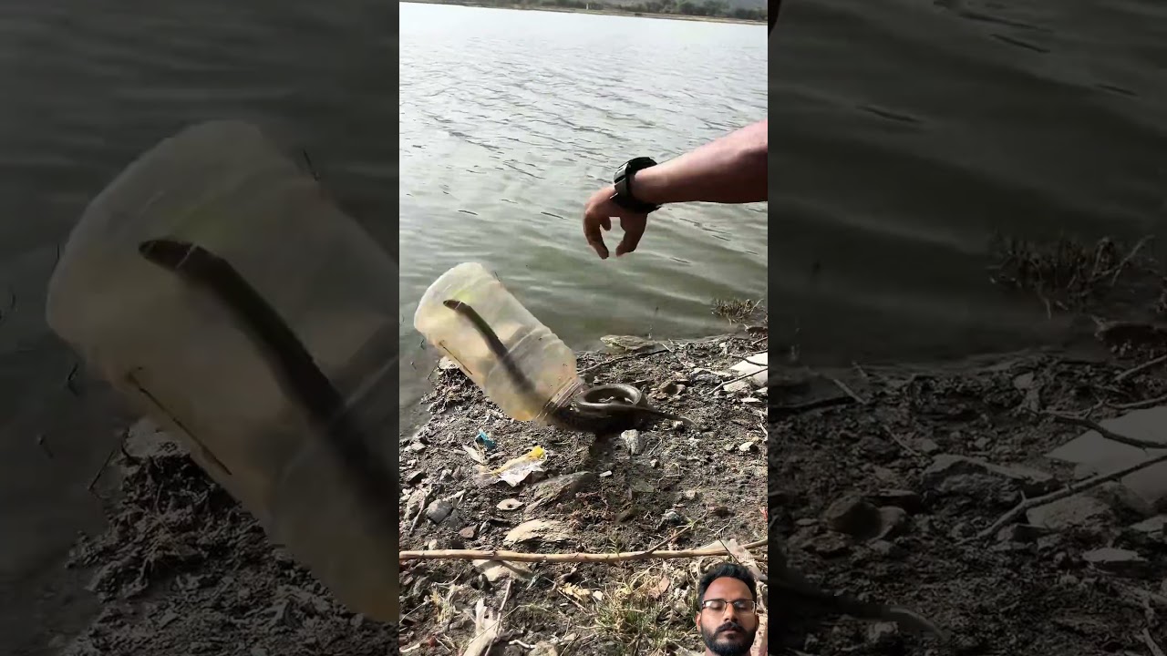 #carpfishing #fish #fishing #youtube #nature
