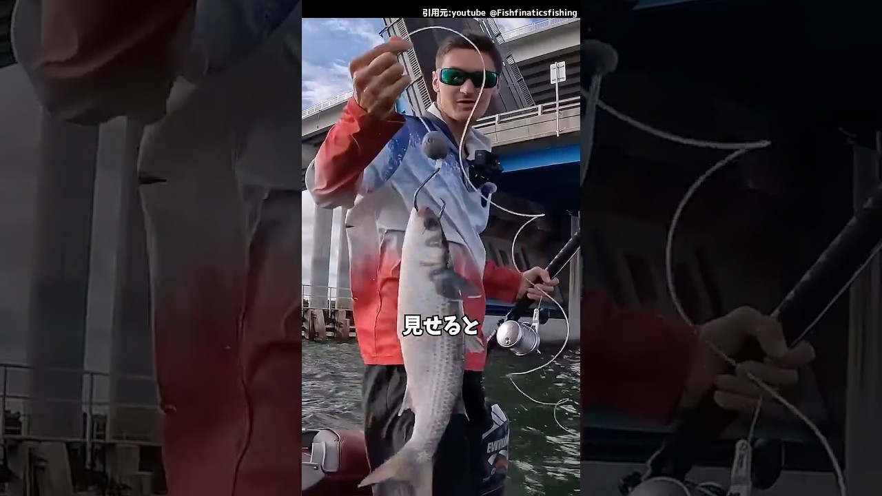 最強の仕掛け!#釣り#魚釣り#巨大魚#fishing #shorts