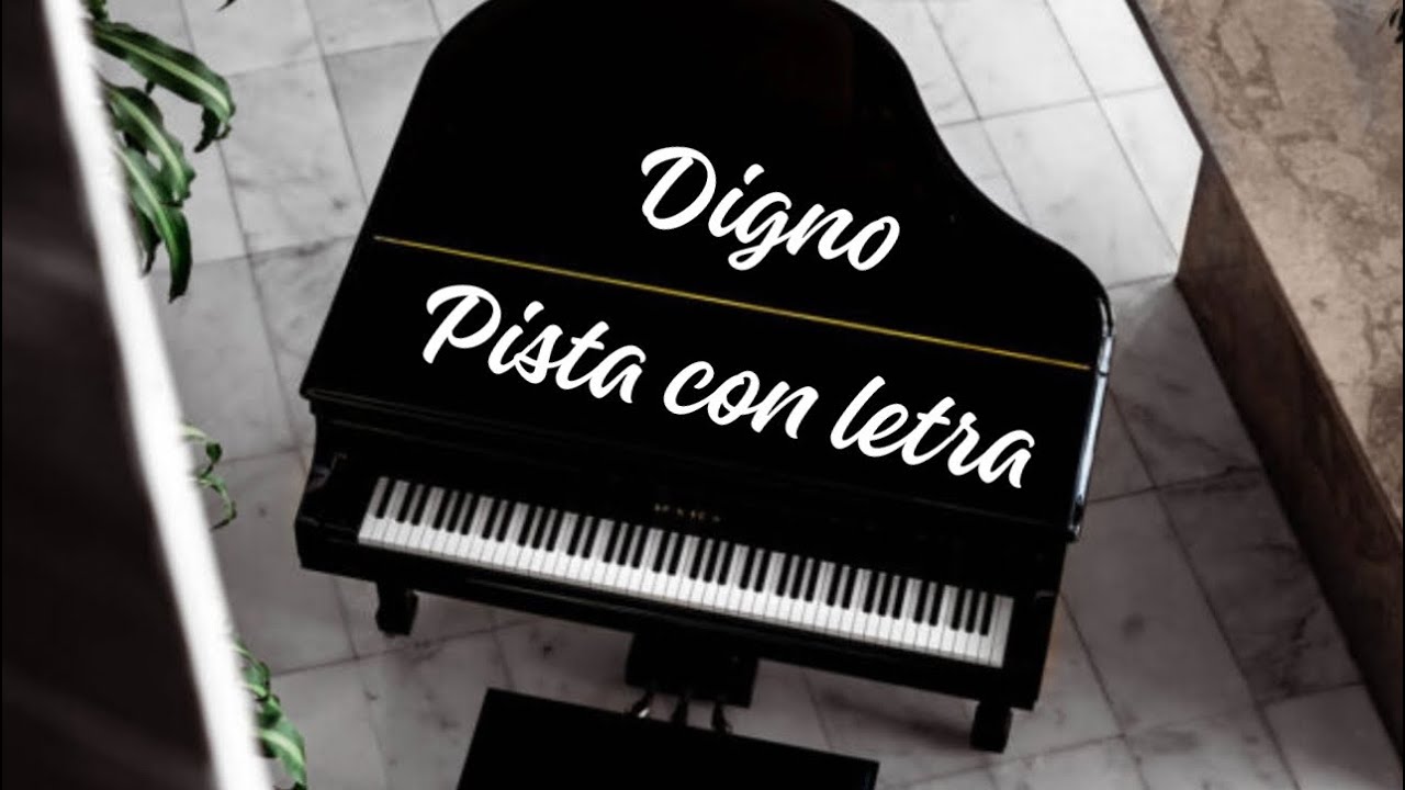 Digno (pista con Letra) #DanRaez