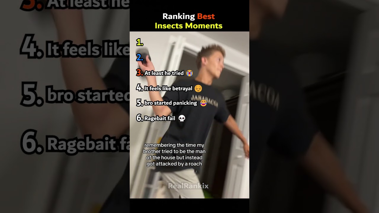 Ranking Best Insects Moments 😭