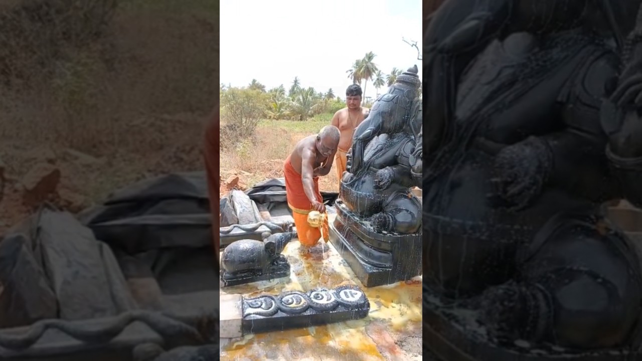 VINAYAGAR THARISANAM🙏🏻🙇🏻##god ##viral ##godsongs ##trending ##work ##shortsvideo