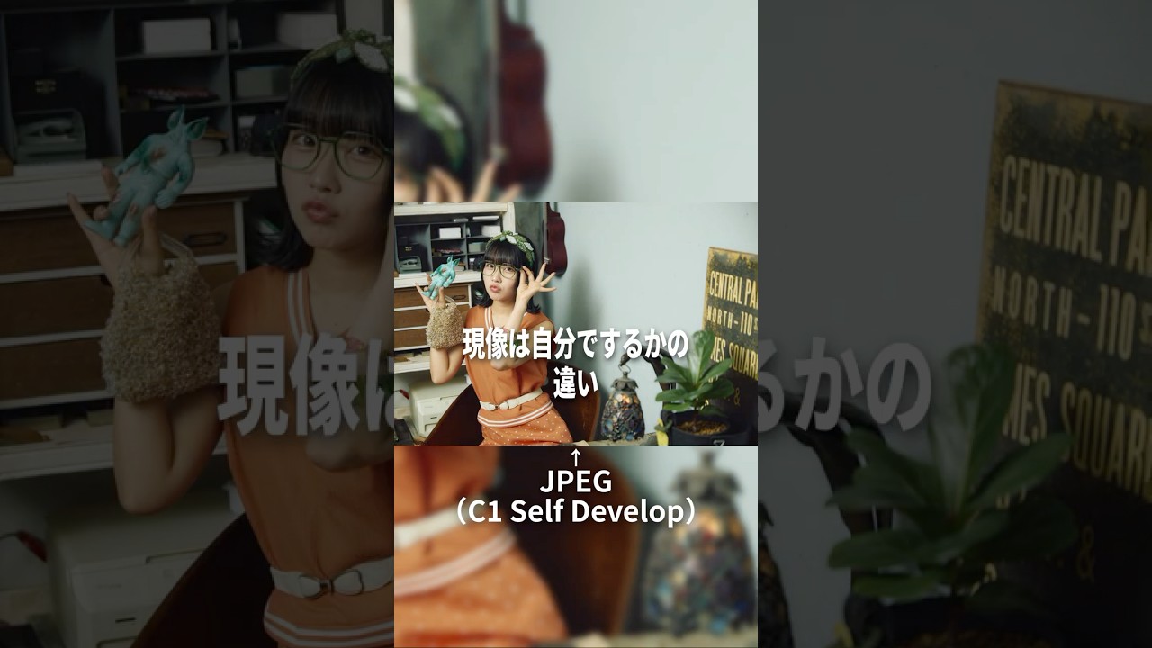 JPEG至上主義者の勘違い #shorts #photography #shortvideo