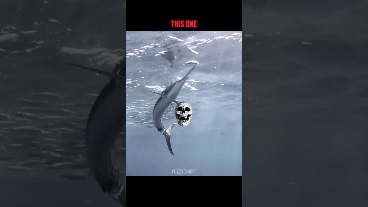🎣 Normal Fishing vs This Legend 😱