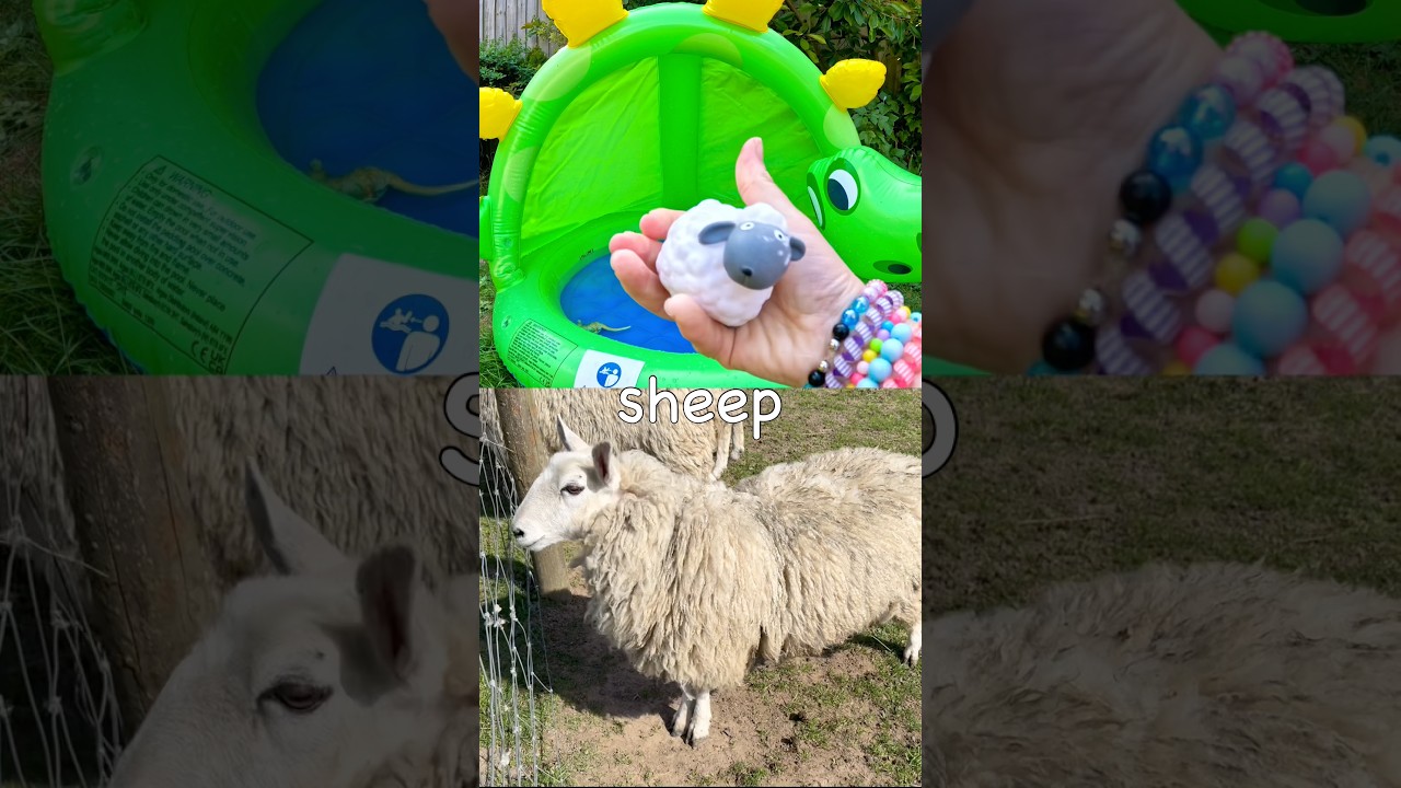 Learn Animal Names for Kids at the Dino Pool: Kangaroo Sheep Antelope Frog Wildebeest