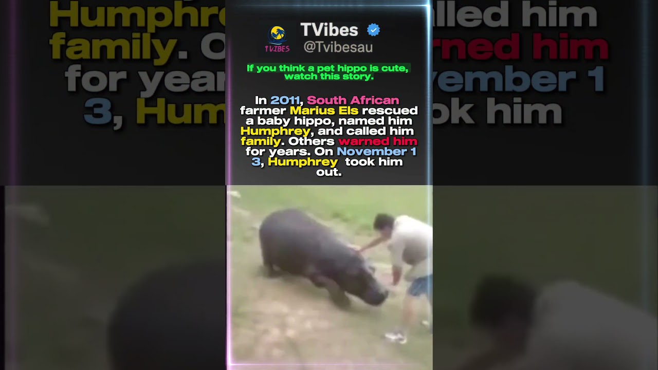 A Farmer Rescued a Baby Hippo and Called It Family — It Killed Him in the River He Loved.