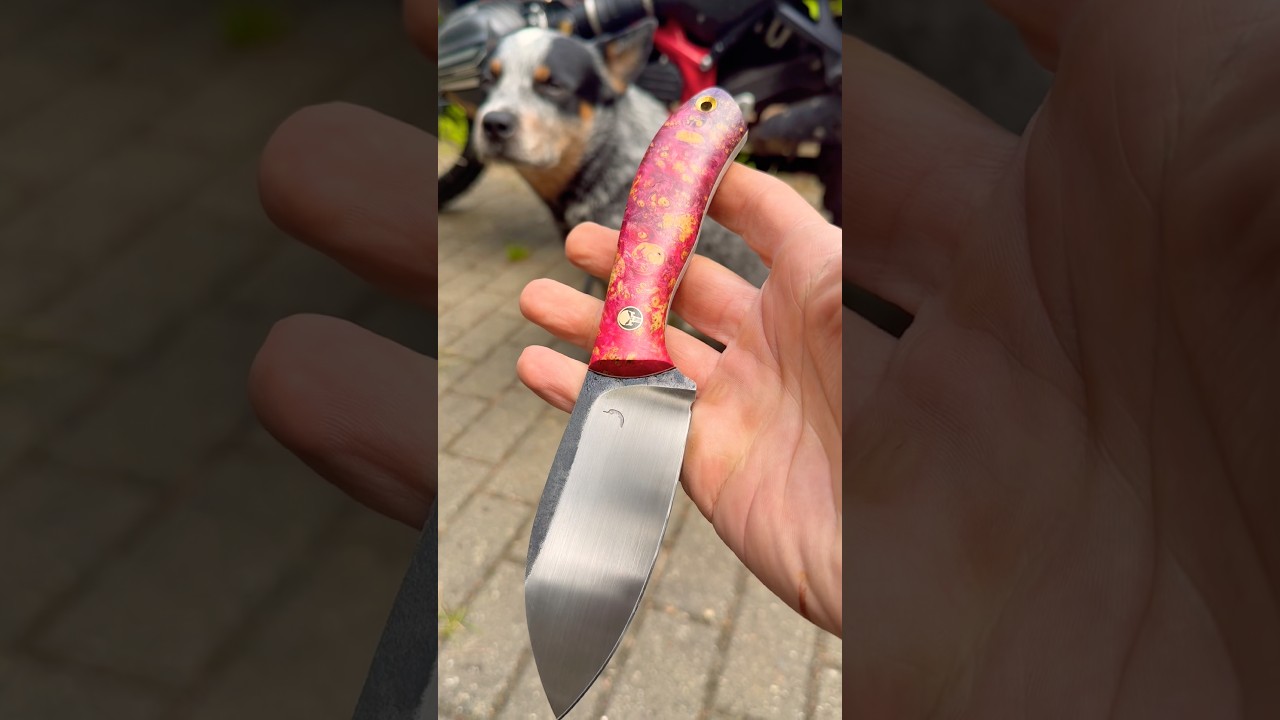Pink Punisher #trollsky
