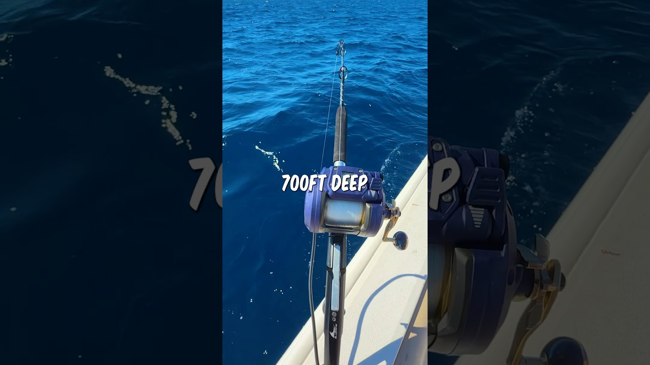 This Is What Lives 700ft Deep…  #fishing #shorts