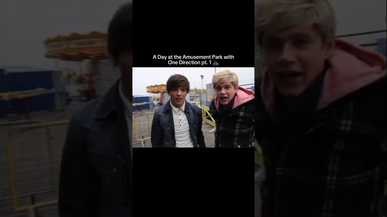 When One Direction goes to an amusement park | shorts #liampayne #harrystyles #onedirection