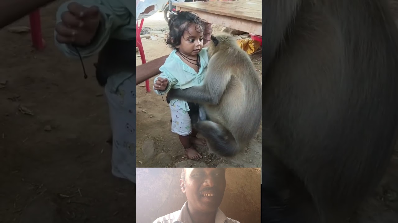 kuragu kulathiku ulla pasam #Short #Monkey #Baby #Cute #AnimalLovers #AnimalFriendship #Heartwarming