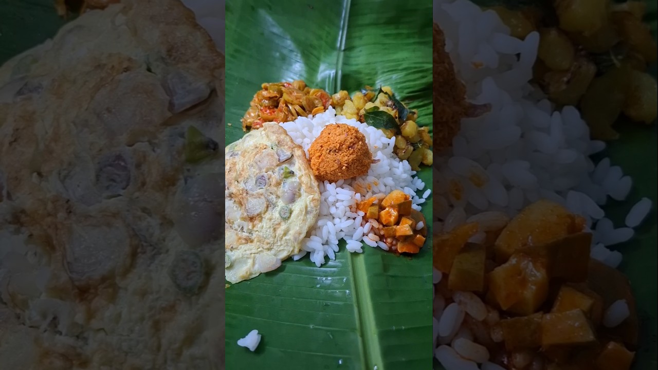 സ്കൂളിലേക്ക് ഒരു പൊതിചോറു 😋