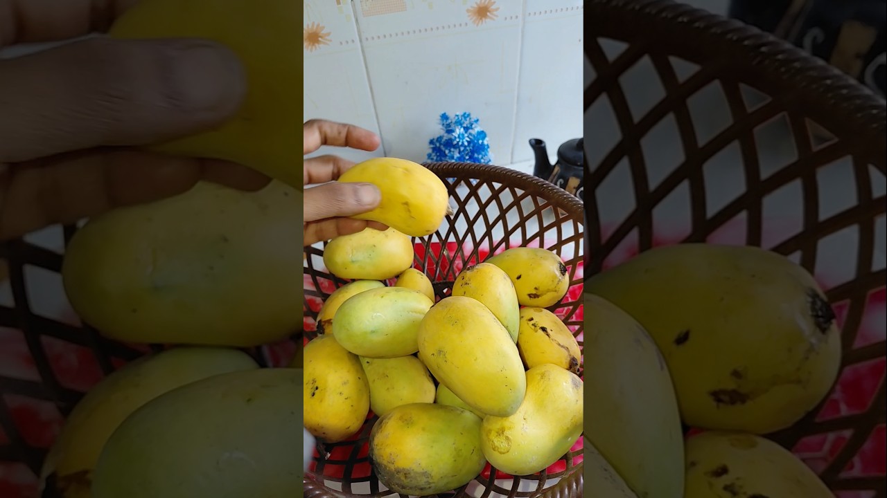 Aam bajkar🤣🤣#sorts#reels#cooking#priyacreativeinthekitchen#youtube#youtubeshorts